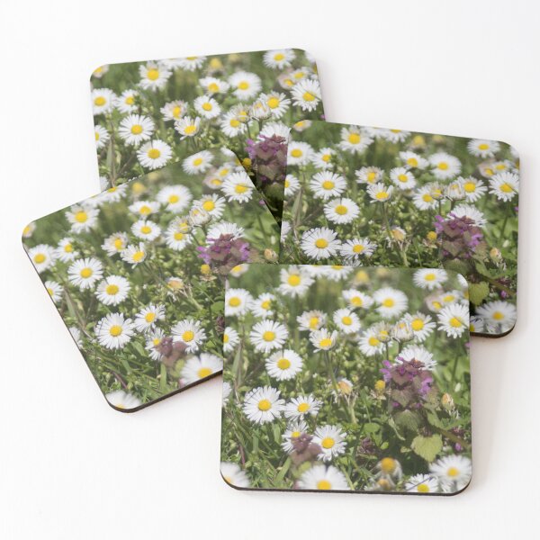 Item preview, Daisies designed and sold by Calidris Fotografie Steffi & Ben Köppler.