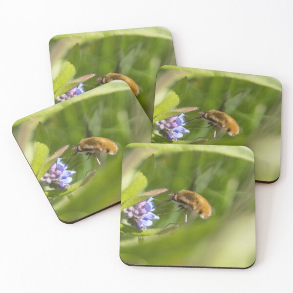 Item preview, Bee fly and forget-me-not designed and sold by Calidris Fotografie Steffi & Ben Köppler.