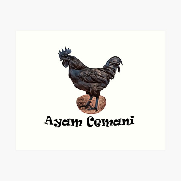 Impressions artistiques sur le th me Ayam Cemani Redbubble