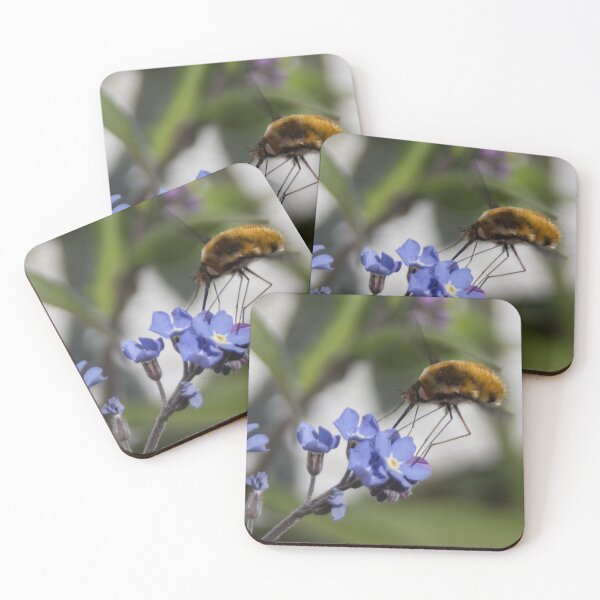 Item preview, Bee fly and forget-me-not 2 designed and sold by Calidris Fotografie Steffi & Ben Köppler.