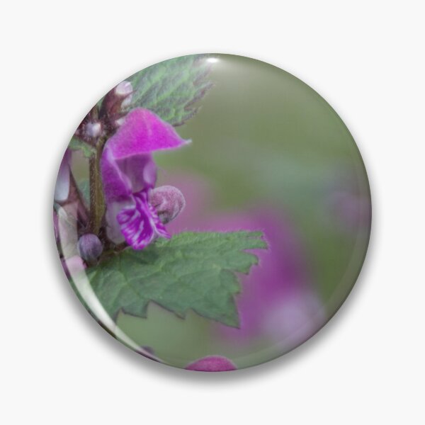 Item preview, Spotted Dead Nettle designed and sold by Calidris Fotografie Steffi & Ben Köppler.