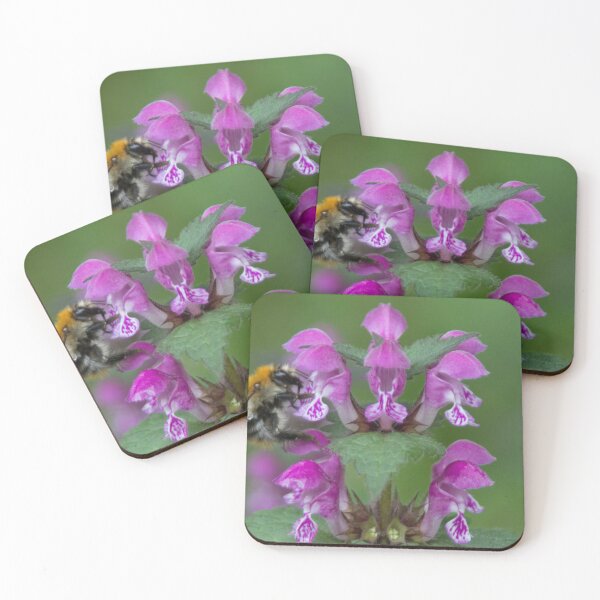 Item preview, Large Garden Bumblebee on Spotted Dead Nettle designed and sold by Calidris Fotografie Steffi & Ben Köppler.