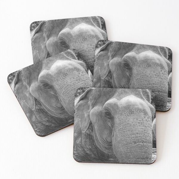 Item preview, Black and White Elephant Head designed and sold by 2424studio.