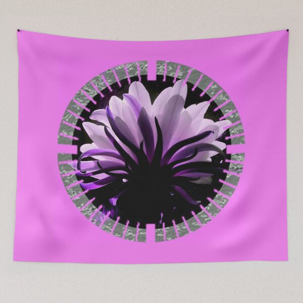 Item preview, Pink-White Cactus flower facing the light by Iritof designed and sold by iritof.