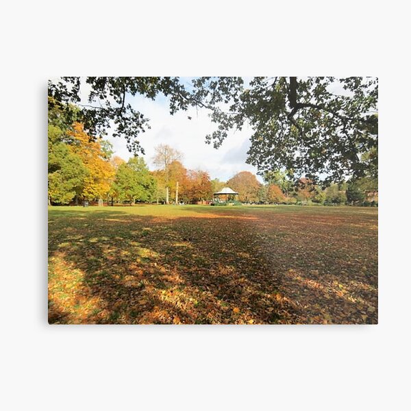 Autumn in Northampton Metal Print