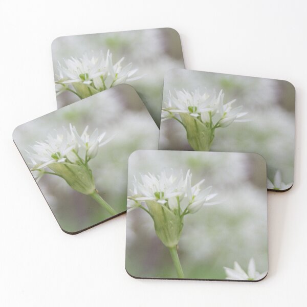 Item preview, Wild Garlic 2 designed and sold by Calidris Fotografie Steffi & Ben Köppler.