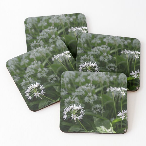 Item preview, Wild Garlic 3 designed and sold by Calidris Fotografie Steffi & Ben Köppler.