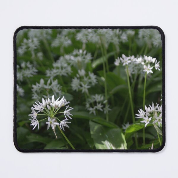 Item preview, Wild Garlic 3 designed and sold by Calidris Fotografie Steffi & Ben Köppler.