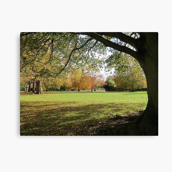 Autumn in Northampton Canvas Print