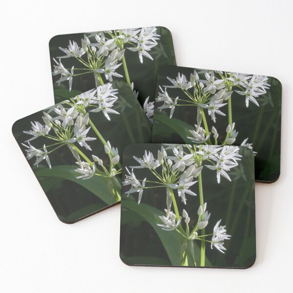 Item preview, Wild Garlic 6 designed and sold by Calidris Fotografie Steffi & Ben Köppler.