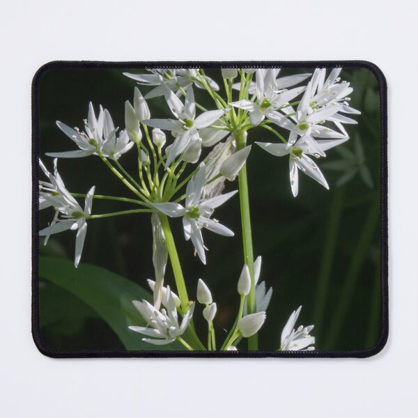 Item preview, Wild Garlic 6 designed and sold by Calidris Fotografie Steffi & Ben Köppler.