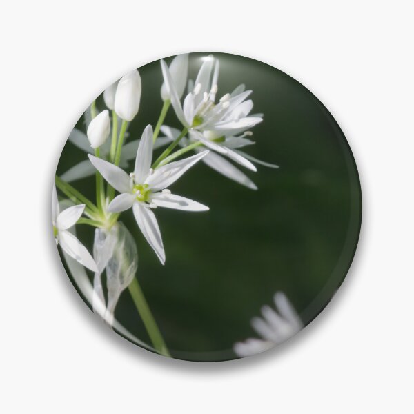 Item preview, Wild Garlic 5 designed and sold by Calidris Fotografie Steffi & Ben Köppler.