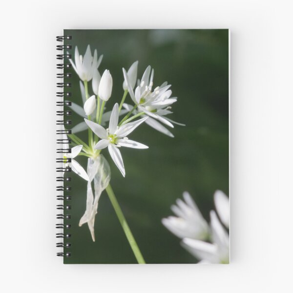 Item preview, Wild Garlic 5 designed and sold by Calidris Fotografie Steffi & Ben Köppler.
