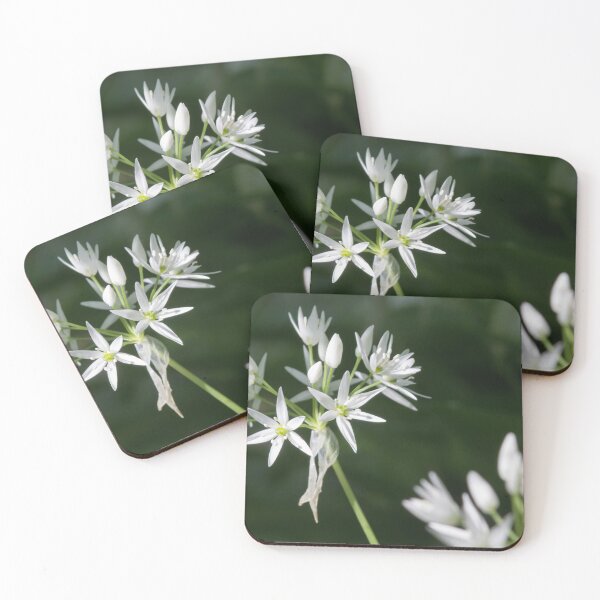 Item preview, Wild Garlic 5 designed and sold by Calidris Fotografie Steffi & Ben Köppler.