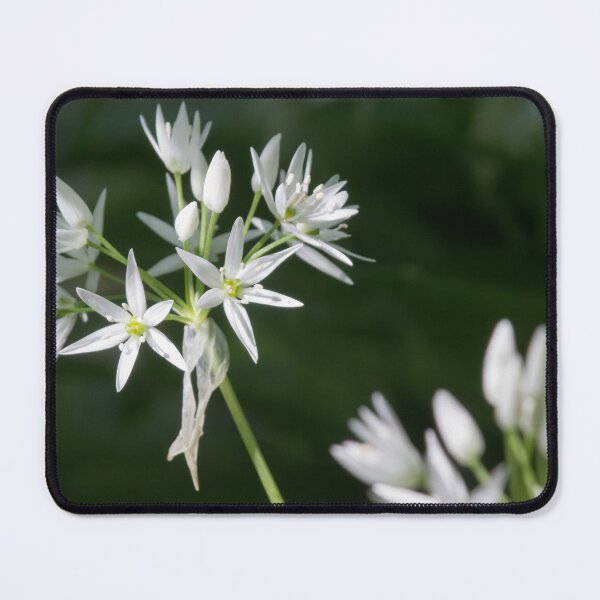 Item preview, Wild Garlic 5 designed and sold by Calidris Fotografie Steffi & Ben Köppler.