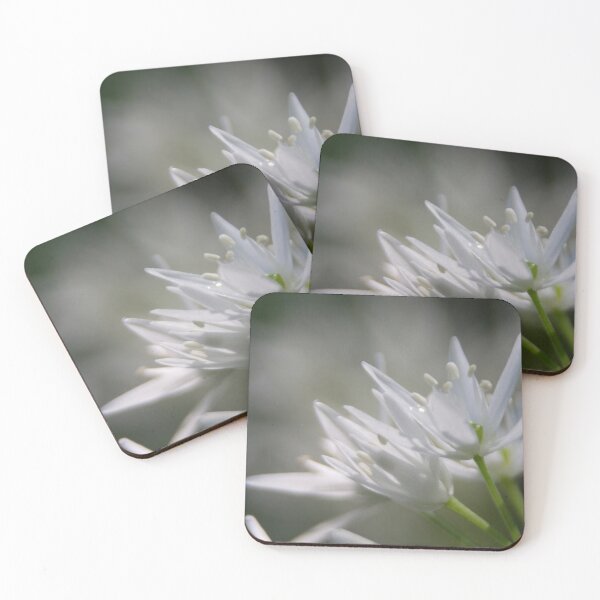 Item preview, Wild Garlic 7 designed and sold by Calidris Fotografie Steffi & Ben Köppler.