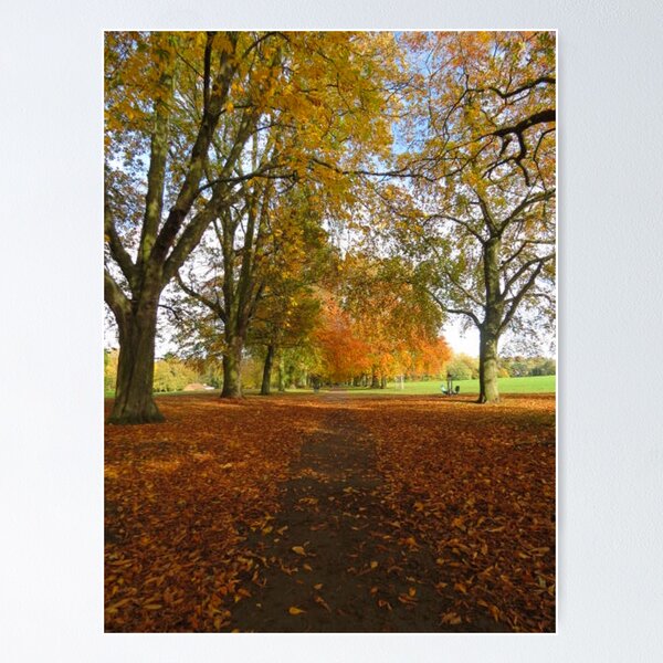 Autumn in Northampton Poster