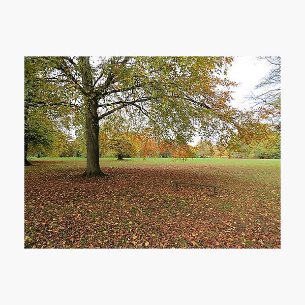 Autumn in Northampton Photographic Print