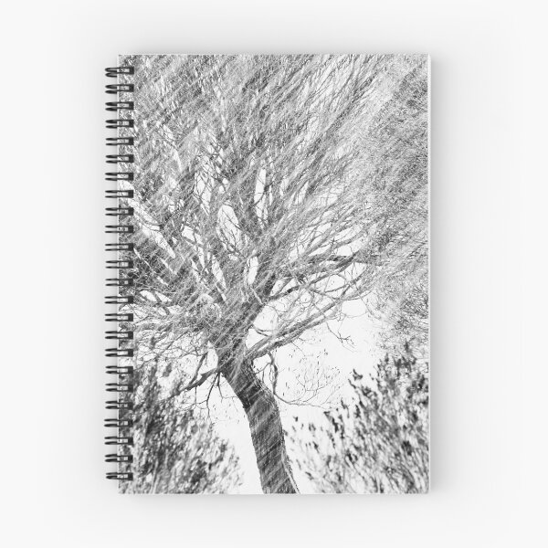 Item preview, 12.11.2023: Tree, Bushes and Snowfall designed and sold by Petri Volanen.