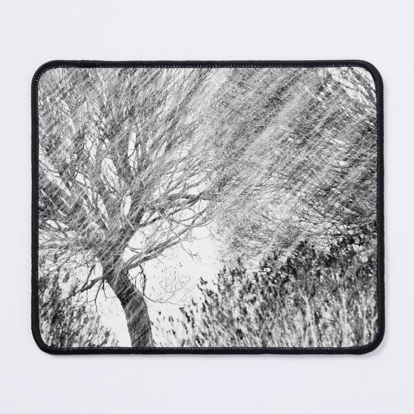 Item preview, 12.11.2023: Tree, Bushes and Snowfall designed and sold by Petri Volanen.