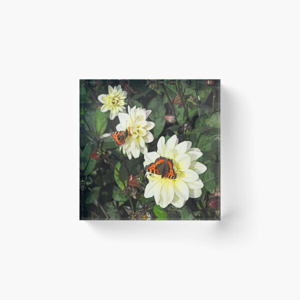 Item preview, Three Dahlias, Two Butterflies. designed and sold by Billlee.