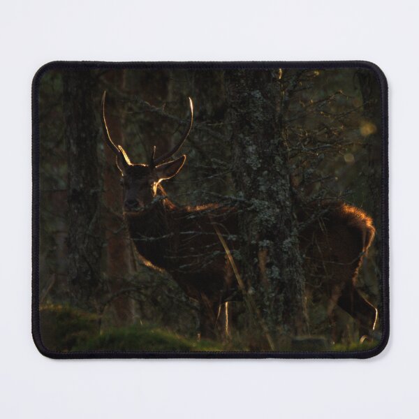 Item preview, Backlit Stag designed and sold by Macrae images.