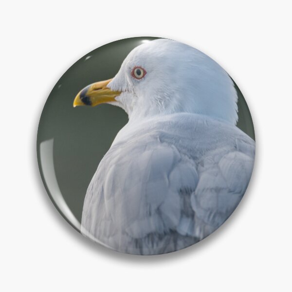 Item preview, Seagull Portrait designed and sold by Debra Martz.
