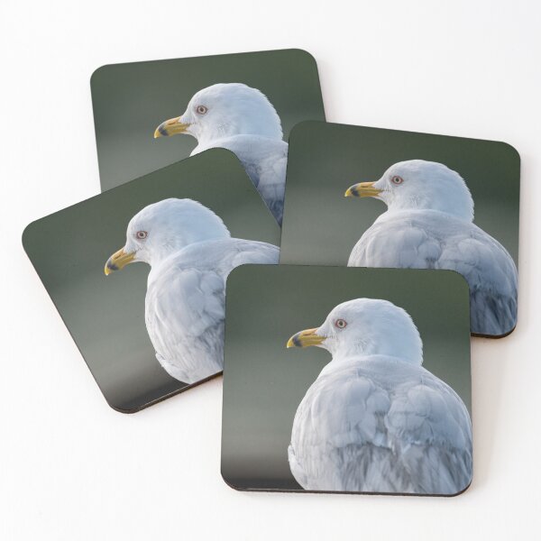 Item preview, Seagull Portrait designed and sold by Debra Martz.