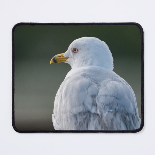 Item preview, Seagull Portrait designed and sold by Debra Martz.