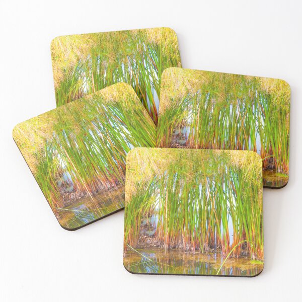 Item preview, papirus I designed and sold by Tereza Pilar  Art.