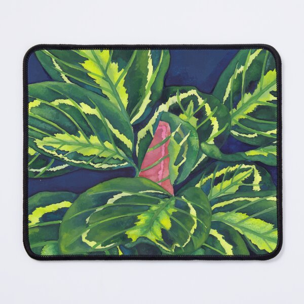 Item preview, Calathea Roseopicta designed and sold by Ana Moguš.