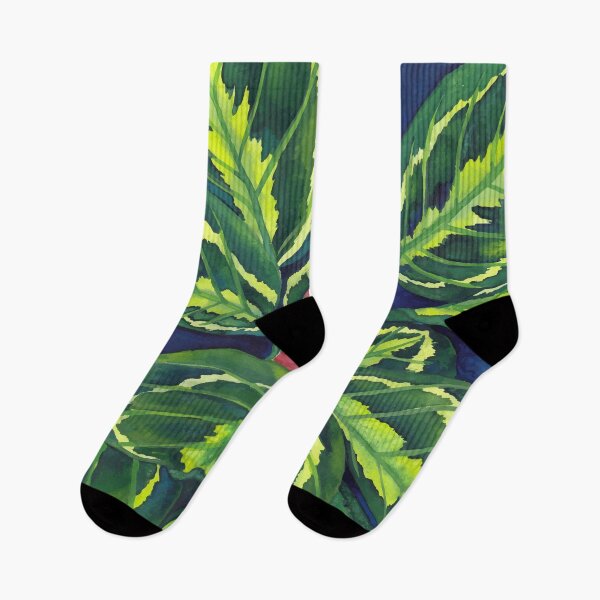 Item preview, Calathea Roseopicta designed and sold by Ana Moguš.