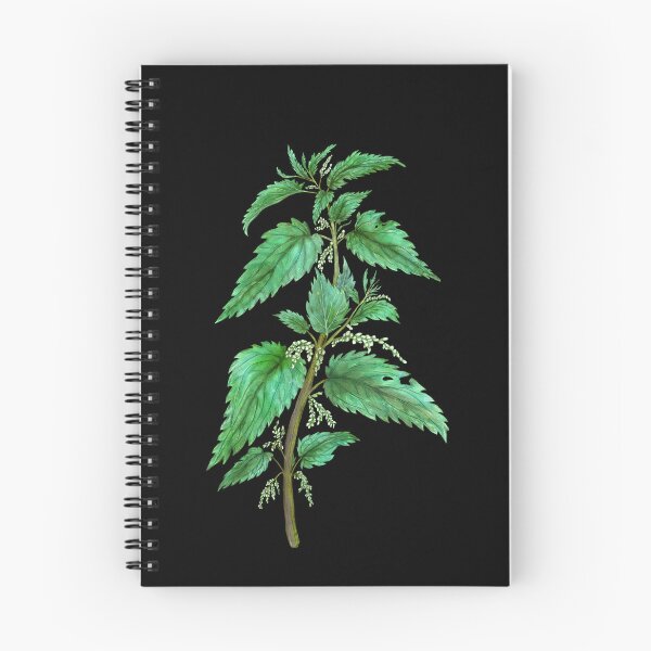 Item preview, Stinging Nettle. Witchy herbs designed and sold by Sitenkovamary.