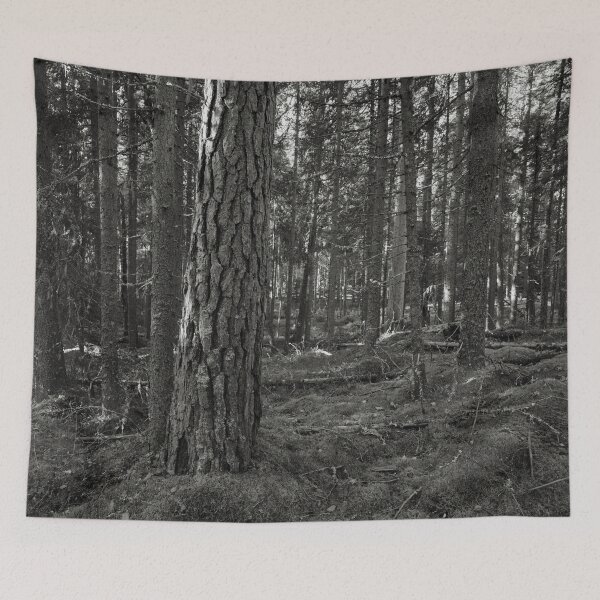 Item preview, Old pines of Multiharju bw designed and sold by Jouko Lehto Photography.