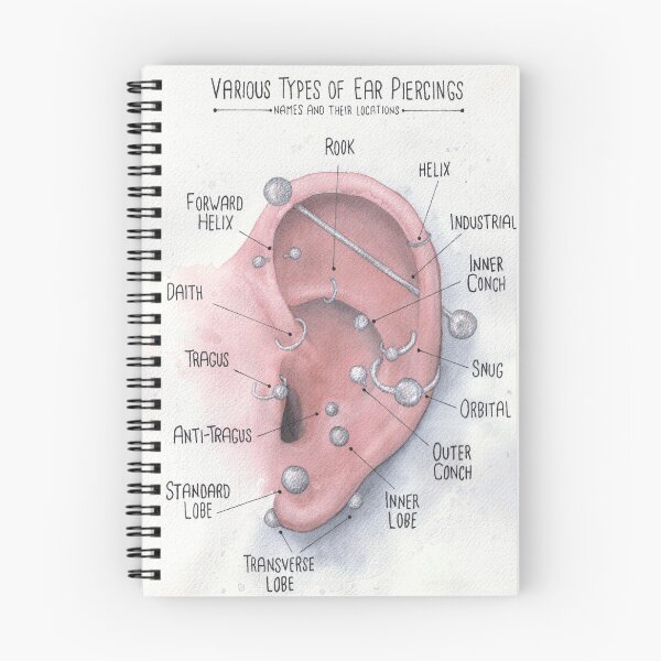 Item preview, Watercolor Ear Piercing Chart designed and sold by Jarrod Vandenberg.