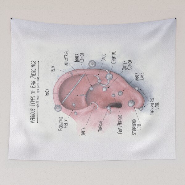 Item preview, Watercolor Ear Piercing Chart designed and sold by Jarrod Vandenberg.