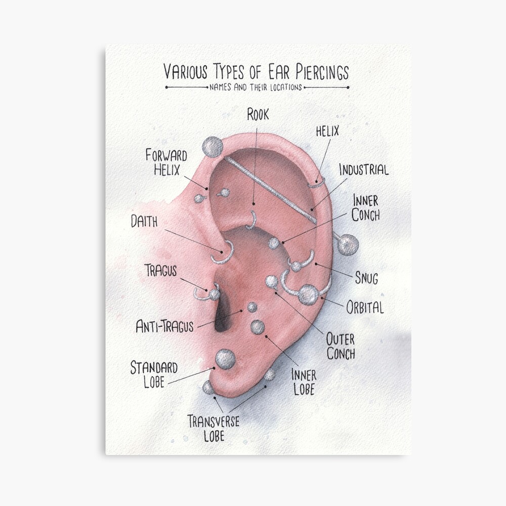 Watercolor Ear Piercing Chart Poster