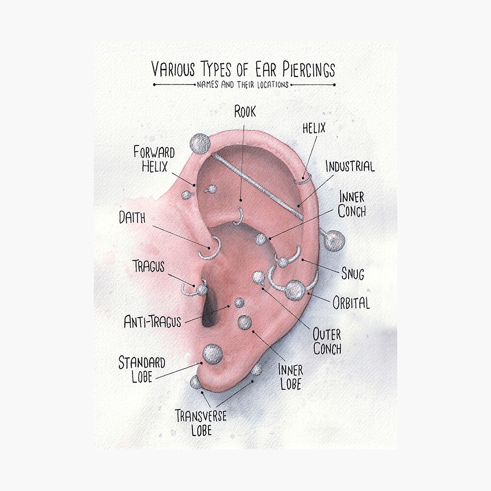 Watercolor Ear Piercing Chart Poster