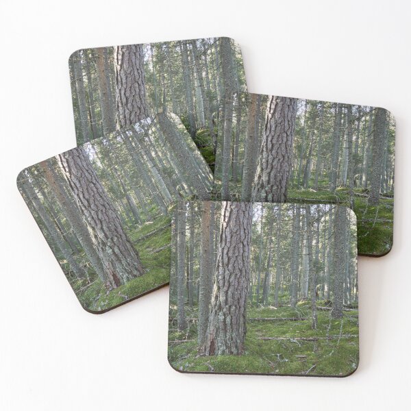 Item preview, Old pines of Multiharju designed and sold by Jouko Lehto Photography.