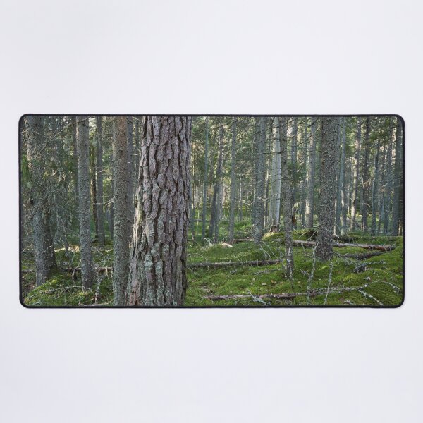 Item preview, Old pines of Multiharju designed and sold by Jouko Lehto Photography.