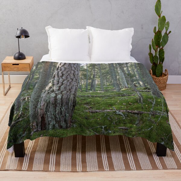 Item preview, Old pines of Multiharju designed and sold by Jouko Lehto Photography.