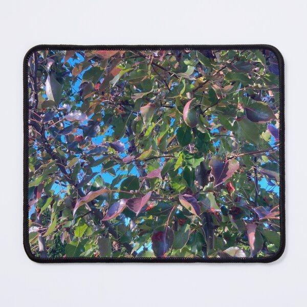 Item preview, Autumn Pear Tree designed and sold by Amanda1775.