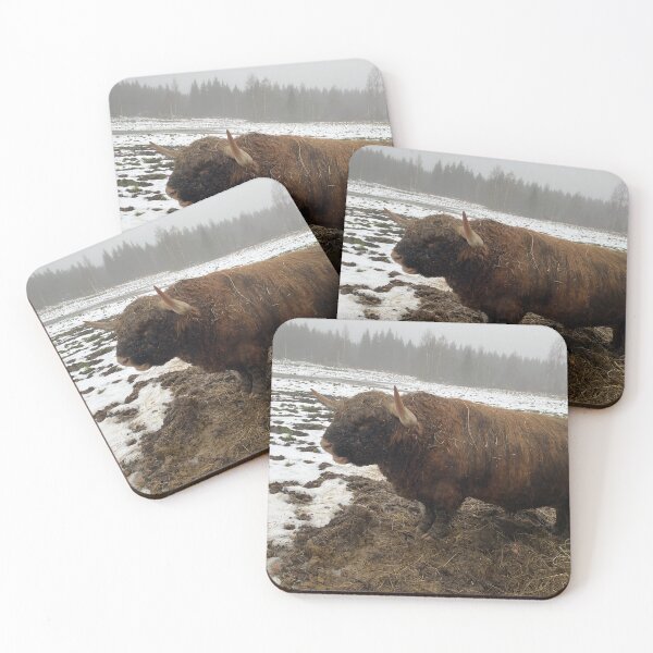 Item preview, Scottish Highland Cattle Bull 4647 designed and sold by SaarelaHighland.