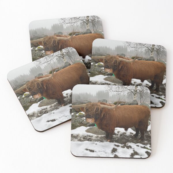 Item preview, Scottish Highland Cattle Bull 4649 designed and sold by SaarelaHighland.
