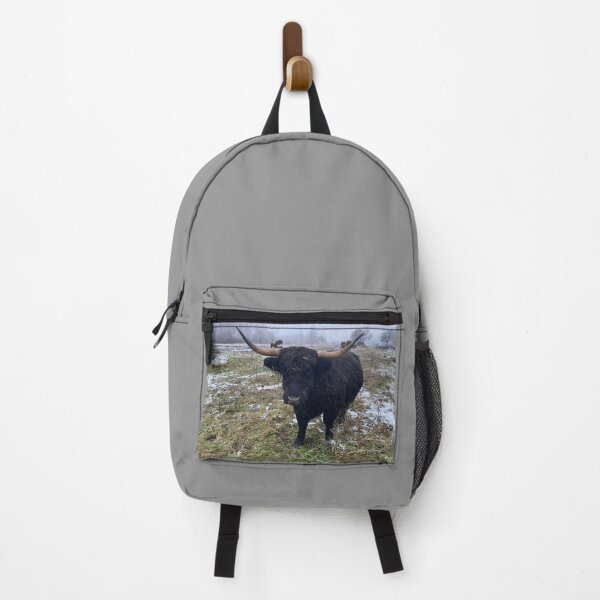 Item preview, Scottish Highland Cattle Cow 4651 designed and sold by SaarelaHighland.