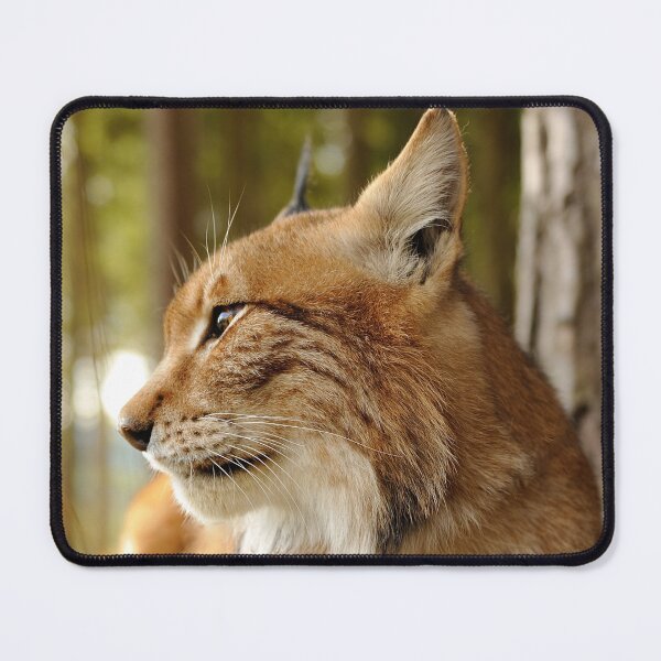 Item preview,  Eurasian lynx canvas, eurasian lynx, animal, animals,  eurasian lynx wall art,  eurasian lynx artwork, wild, eurasian lynx art,  eurasian lynx painting designed and sold by eyesight4vision.