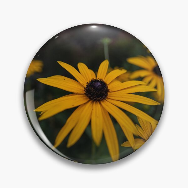 Item preview, Orange Cone flower at Eden Project designed and sold by ast-photography.