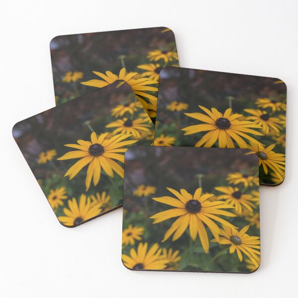 Item preview, Orange Cone flower at Eden Project designed and sold by ast-photography.