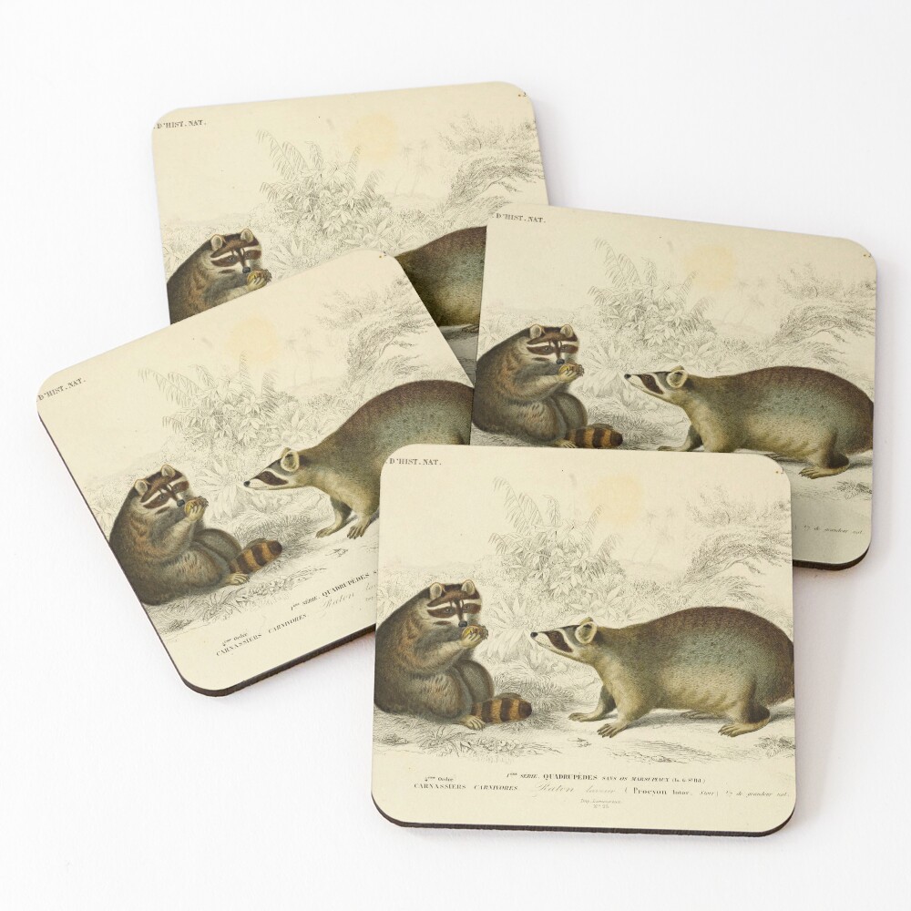 Item preview, Coasters (Set of 4) designed and sold by LloydLibrary.