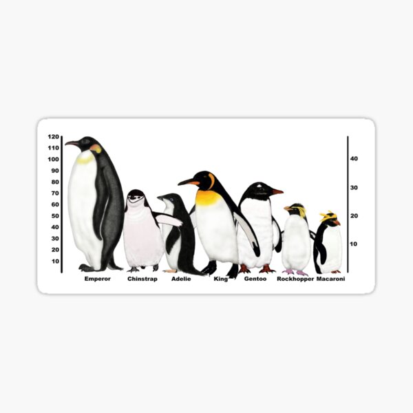 Item preview, Antarctic Penguins Height Drawing designed and sold by ArtAndBliss.